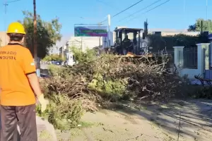 El viento zonda provoc daos en el centro de Tinogasta