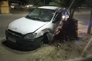 Un remisero se qued dormido y estrell su vehculo contra una palmera
