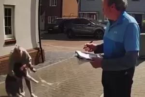 Increble: Atrap a su perra cuando caa desde ms de seis metros de altura y le salv la vida