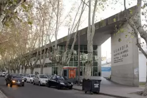 Hepatitis infantil aguda: investigan un posible vnculo con los perros