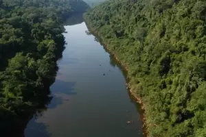 Misiones, la primera provincia del pas en aprobar la ley de proteccin, conservacin y desarrollo de humedales