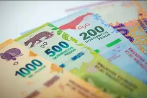 Quitarn los animales de los billetes, volvern los prceres y se espera ms presencia femenina