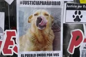 Fallo histrico: lo condenaron a un ao y medio de prisin por arrastrar a un perro con su camioneta hasta matarlo