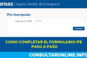 En 8 horas, medio milln de inscriptos al Ingreso Familiar de Emergencia