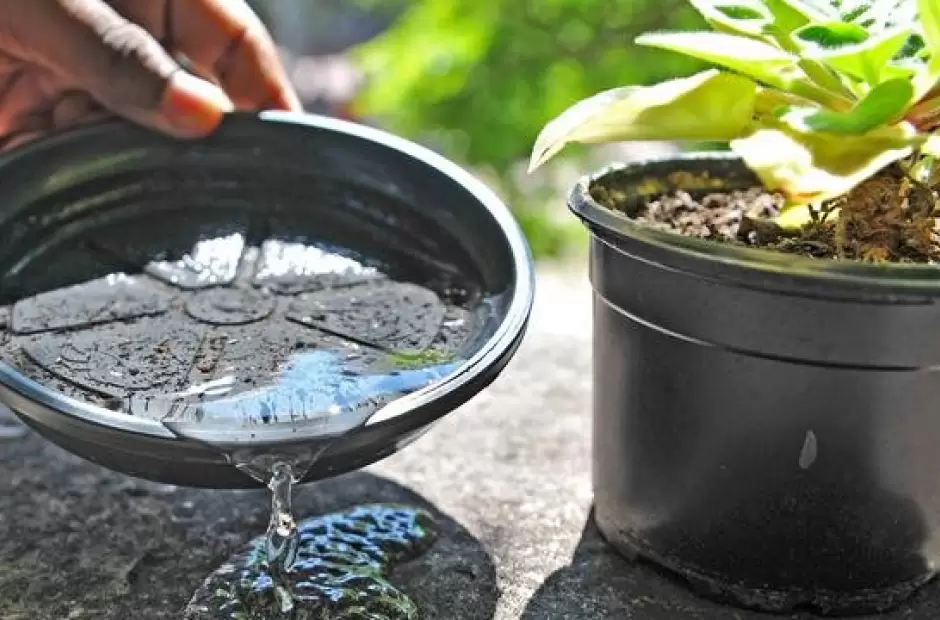 La cifra de infectados se elev a 223.