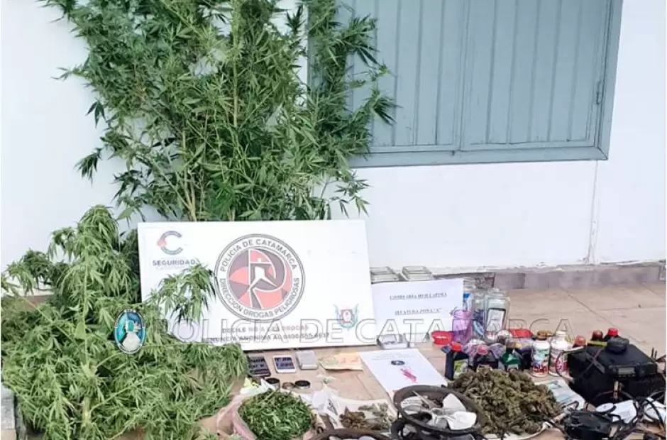 Lo detuvieron por cosechar y vender marihuana