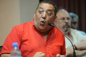 La Justicia le concedi la libertad condicional a Luis D'Ela