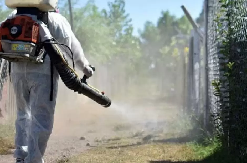 dengue_fumigaciones