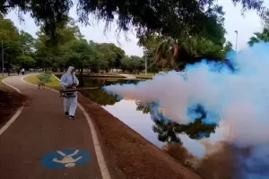 Catamarca no registra casos de dengue desde hace ms de 10 das