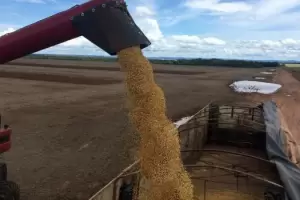 El campo reclama que las retenciones "no tienen sustento legal"