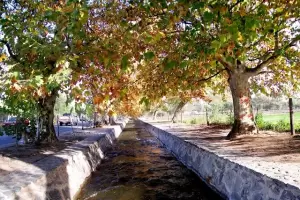 Riego alerta por el uso indebido del canal de La Vista Larga