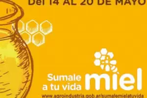 Semana de la miel: concientizan sobre  su importancia en la alimentaci�n