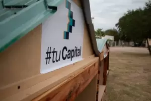 Instalarn en la ciudad nuevos refugios para perros callejeros