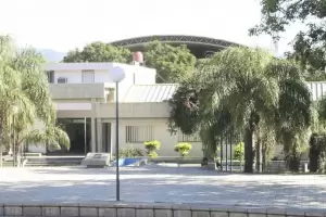 Carrera de investigador