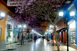 Millonario robo en un comercio de la peatonal Rivadavia
