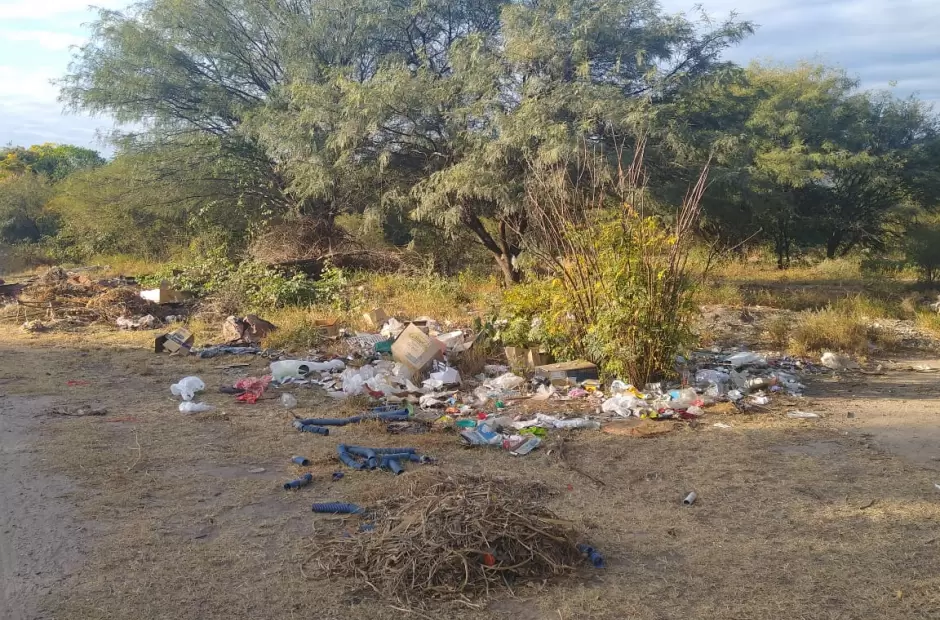 Valle Viejo. En plena zona urbana se puede apreciar el crecimiento desmedido de 