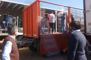 Inversin de $ 2 millones para Polo Avcola de Andalgal