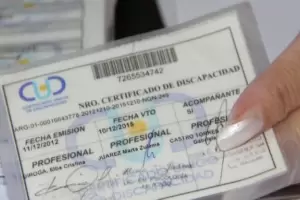 Plan para mejorar el trmite del Certificado de Discapacidad en todo el pas