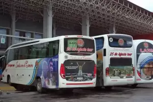 COE: se habilitan servicio de transporte interurbano y el turismo interno