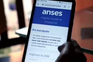 IFE: ANSES present ms de 150 denuncias judiciales por fraude