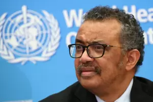 La OMS viaja a China y empieza a estudiar la nueva gripe porcina