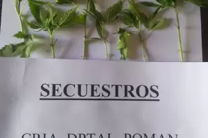 Perea qued detenido en Andalgal y le hallaron droga