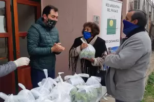 Agrarias entreg 700 plantines de hortalizas a familias