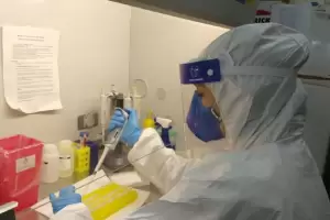 Covid-19: el Laboratorio Central analiza entre 10 y 20 camioneros por da