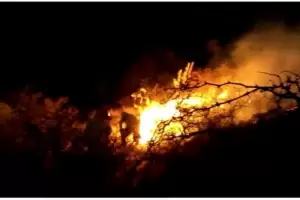 Incendio forestal en Ancasti consumi 2.700 hectreas