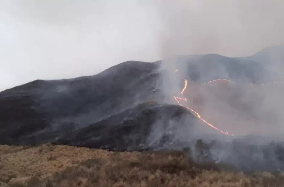 El viento complic la tarea de los bomberos.