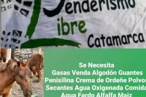 Colecta para los animales afectados por el incendio en El Crestn