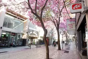 Se detect� un nuevo caso positivo de coronavirus