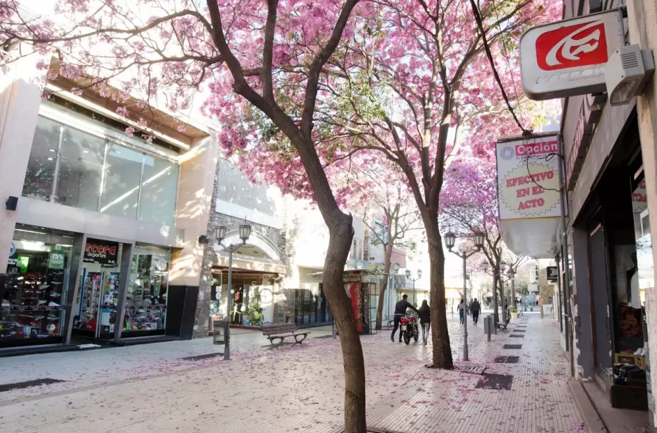 Ayer, hubo poco movimiento en la peatonal Rivadavia.