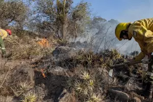Se registraron diversos incendios en el interior provincial