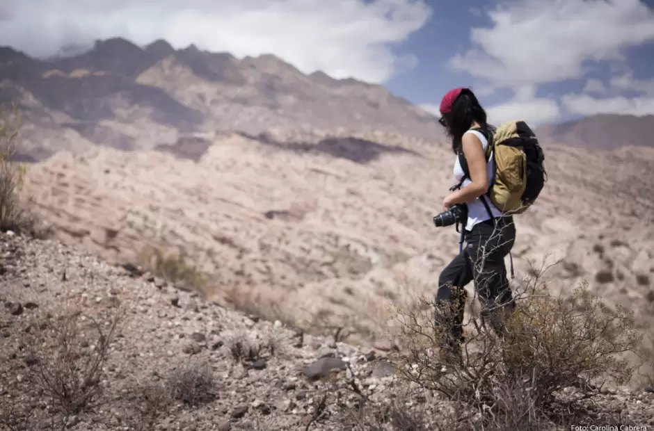Premios en efectivo para los ganadores del concurso.