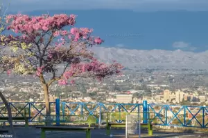 Lleg la Primavera: As estar el tiempo este jueves