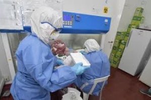 San Luis super� los 2.000 casos de coronavirus y sum� ayer 5 nuevos fallecidos