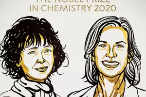 Premio Nobel de Qumica para un revolucionario hallazgo casual: las tijeras Crispr y su papel en el cdigo de la vida