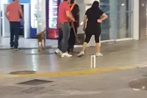 Polmico: le peg con el cinto a un perro callejero
