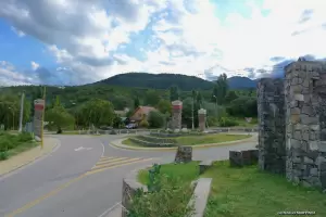 Investigan la muerte masiva de animales en El Rodeo