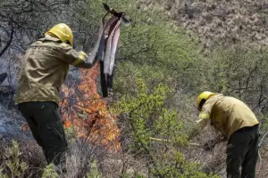 Tenemos una temporada de incendios sin precedentes, dijo el nuevo director de Incendios Forestales