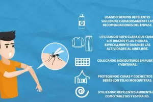 Salud y la prevencin de picaduras del Aedes aegypti