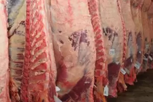 Paula Espaol: "Logramos contener los precios de la carne en el mercado interno"