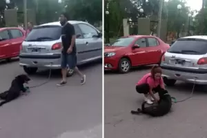 Maltrato animal: una mujer encaden a su perro al auto y lo arrastr por varias cuadras