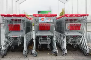 Denunci el robo de 300 changuitos