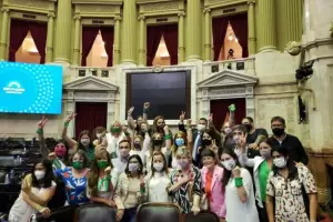 Diputados emiti dictamen de mayora sobre el proyecto de legalizacin del aborto