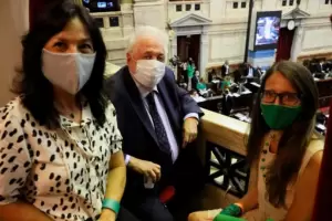 Vilma Ibarra sobre la Ley del Aborto en el Senado: "Vamos a pelear y persuadir los votos para que salga"