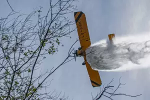 Incendios forestales: Catamarca es la nica provincia que sigue con focos activos