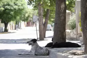 Catamarca palpita el A�o Nuevo: el pron�stico para el �ltimo d�a de 2025