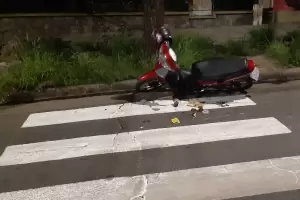 Derrap por culpa de dos perros